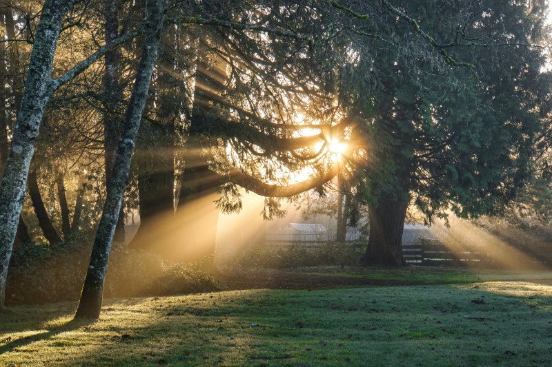 wyblakły kod kreskowy spowodowany przez Sunlight.jpg