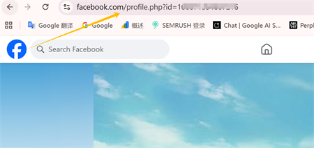 link do profilu facebook